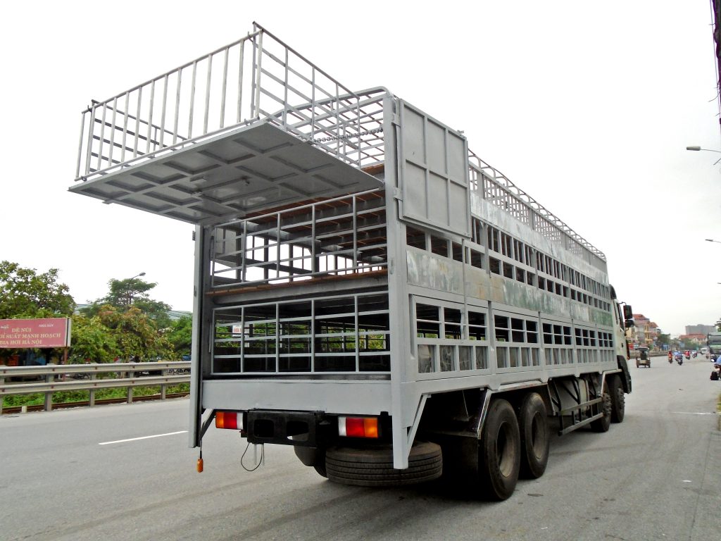 Gia súc gia cầm