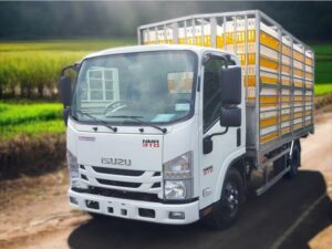 Alternative view of XE TẢI CHỞ GIA CẦM ISUZU NMR85HE4 2.9 TẤN