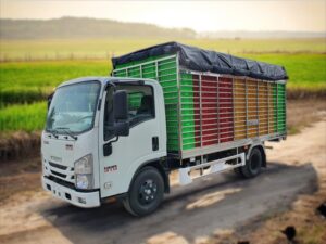 XE TẢI CHỞ GIA CẦM ISUZU NMR85HE4 2.9 TẤN