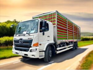 XE TẢI HINO 13 TẤN 3 CHÂN CHỞ GIA CẦM