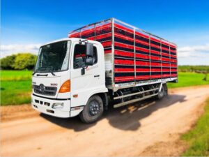 Alternative view of XE TẢI HINO CHỞ GIA CẦM FC9JLTC 5.4 TẤN