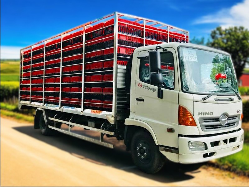 XE TẢI HINO FC9JLTA 4.7 TẤN THÙNG CHỞ GÀ VỊT - Ảnh 4