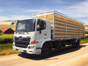Alternative view of XE TẢI HINO FC9JLTA 4.7 TẤN THÙNG CHỞ GÀ VỊT