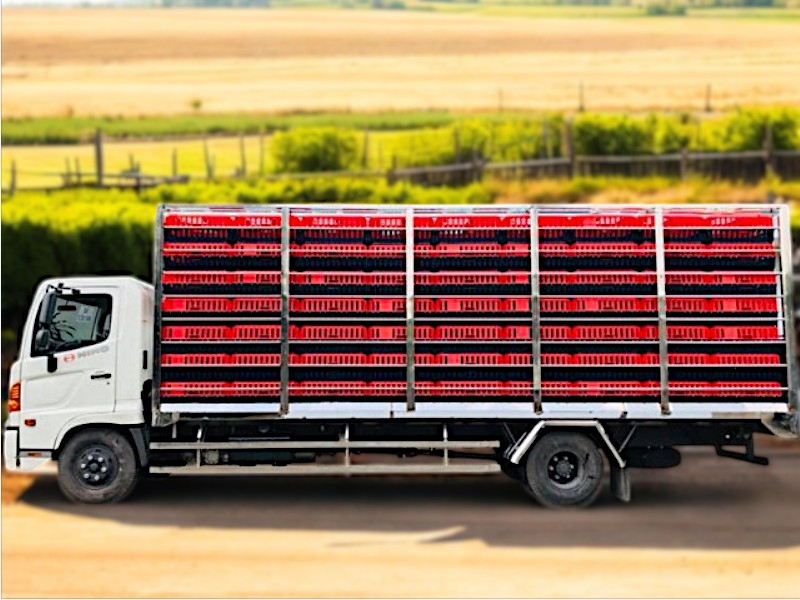 XE TẢI HINO FC9JLTA 4.7 TẤN THÙNG CHỞ GÀ VỊT - Ảnh 3