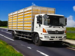 Alternative view of XE TẢI HINO FC9JNTC CHỞ GIA CẦM 5.2 TẤN