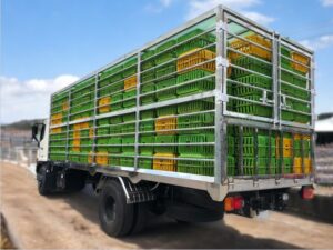 Alternative view of XE TẢI HINO FG8JP7A 6.5 TẤN THÙNG CHỞ GÀ VỊT