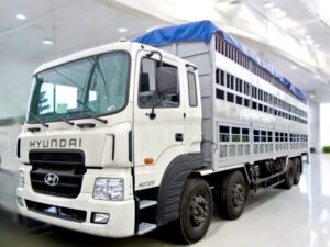 XE TẢI HYUNDAI HD320 4 CHÂN CHỞ GIA SÚC 15 TẤN