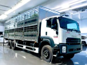 XE TẢI ISUZU FVM34WE4 11 TẤN 3 CHÂN CHỞ GIA SÚC