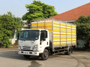 XE TẢI ISUZU NQR75ME4 3.2 TẤN CHỞ GÀ VỊT CON