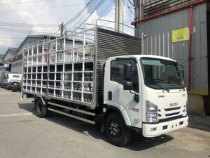 XE TẢI ISUZU NQR75ME4 4.6 TẤN CHỞ MÔ TÔ XE MÁY